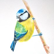 Akvarelov pastelka. Veronika Ktnsk